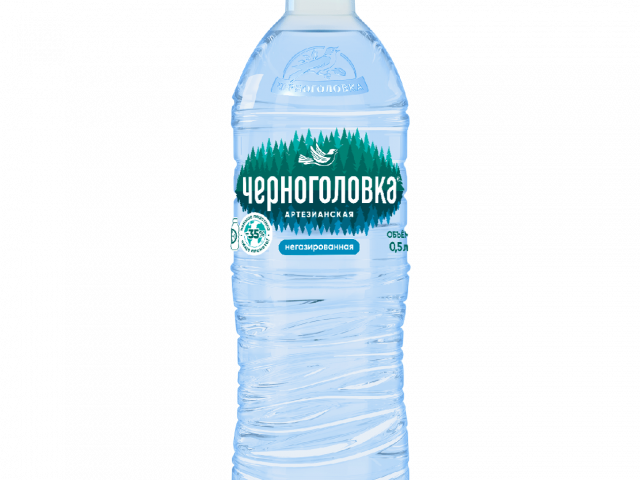 Артезианская вода Черноголовка негазированная 0